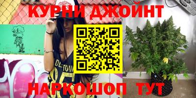 молекула духа Нальчик
